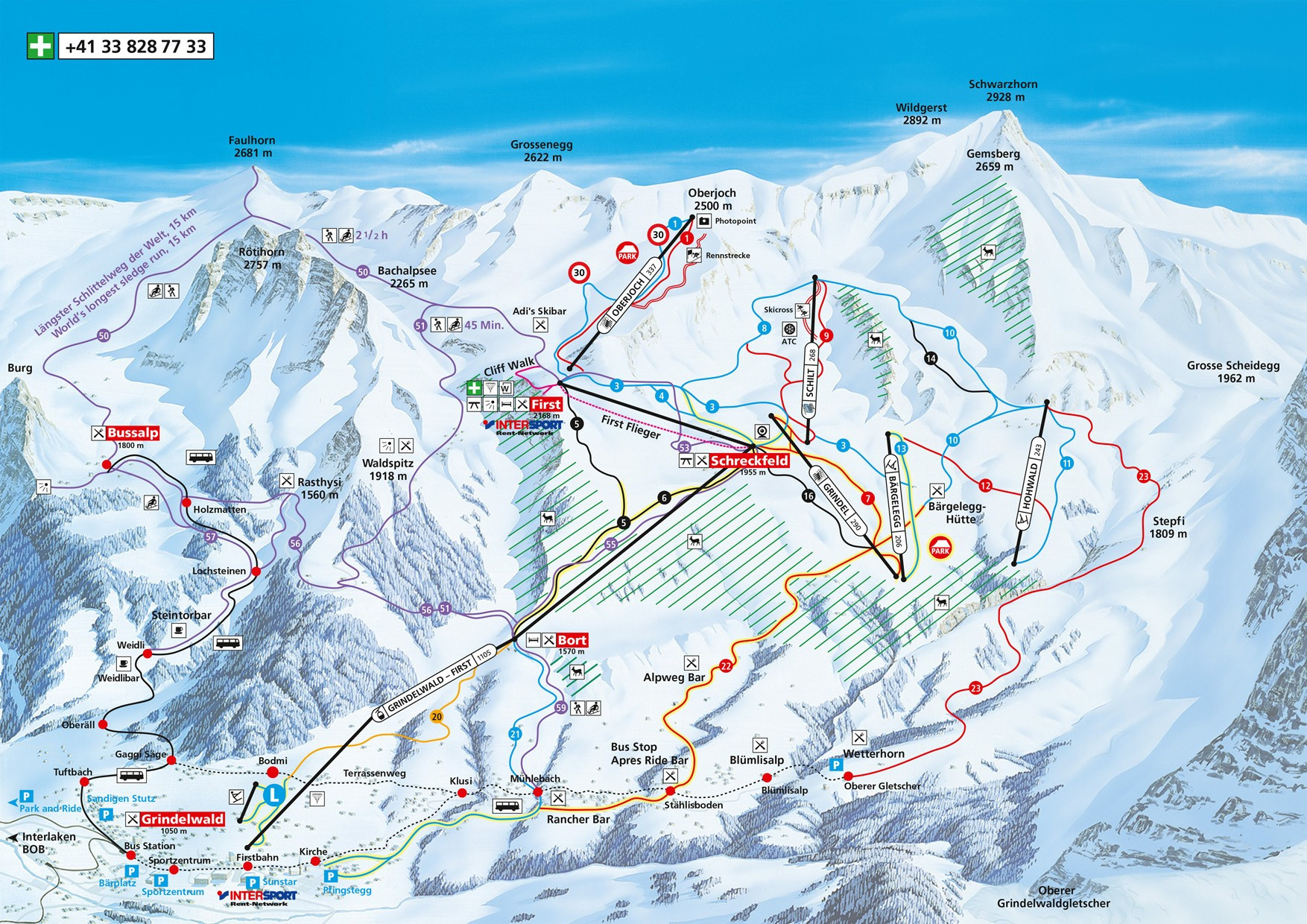 Grindelwald First Trail Map • Piste Map • Panoramic Mountain Map