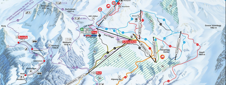 Trail Map Grindelwald First