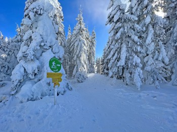 There are designated winter hiking trails.