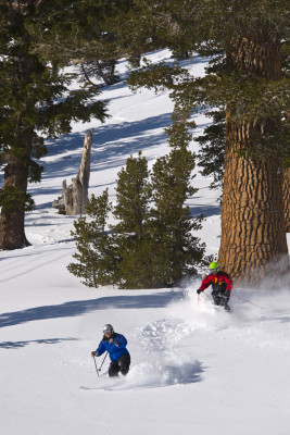 Mt Rose boasts excellent powder conditions.