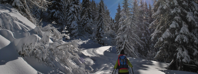 Snowshoe hiking in Nassfeld-Pressegger See