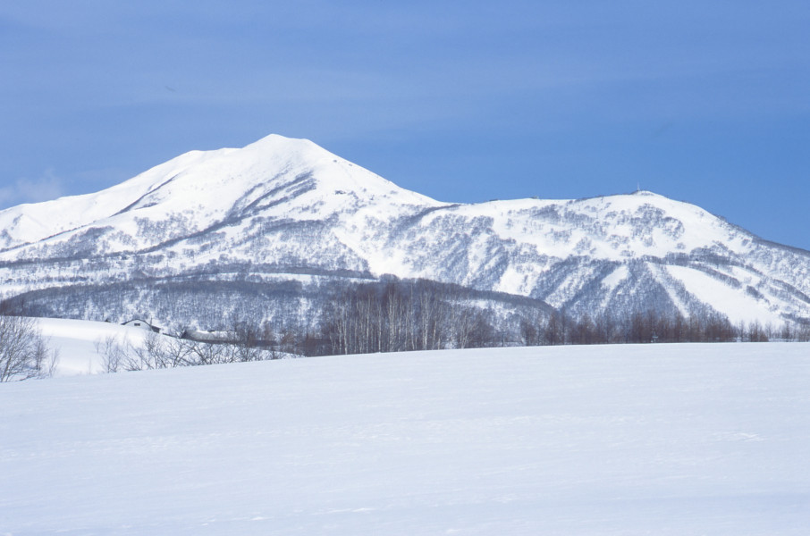Niseko United consists of four connected ski areas.