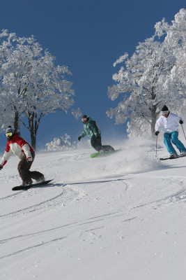 A large variety of runs prvides snowsport fun for everyone.