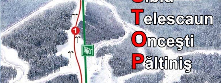 Trail Map Paltinis