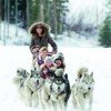 Discover the area around Park City during a nice dog sled tour for the whole family.