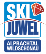 Logo Ski Resort Ski Juwel Alpbachtal Wildschönau