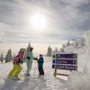 Since its three mountains really guarantee a blast for everyone, Sun Peaks definitely is the place for some nice family skiing with tons of greens, blues and blacks.