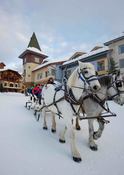 From dog sled tours to horse drawn sleigh rides, Sun Peaks offers unique experiences and activities for every age group.