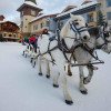 From dog sled tours to horse drawn sleigh rides, Sun Peaks offers unique experiences and activities for every age group.