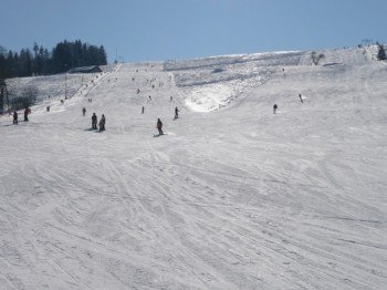 The ski area is particularly suitable for beginners and families