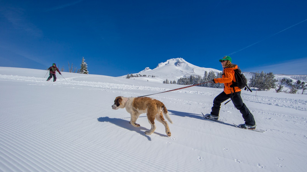 Bring your own snowshoes or rent them from Timberline to enjoy groomed snowshoeing trails around the lodge.