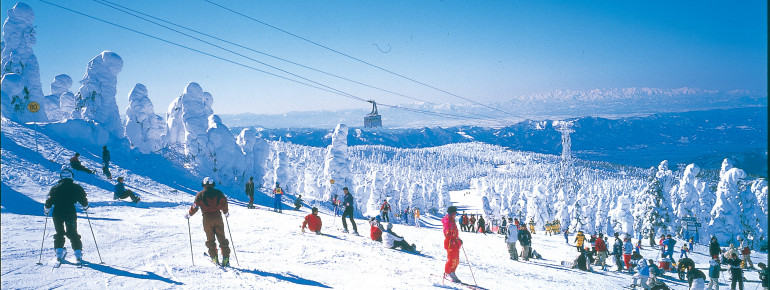 Zao Onsen offers an area of 50 kilometers for skiing and snowboarding.