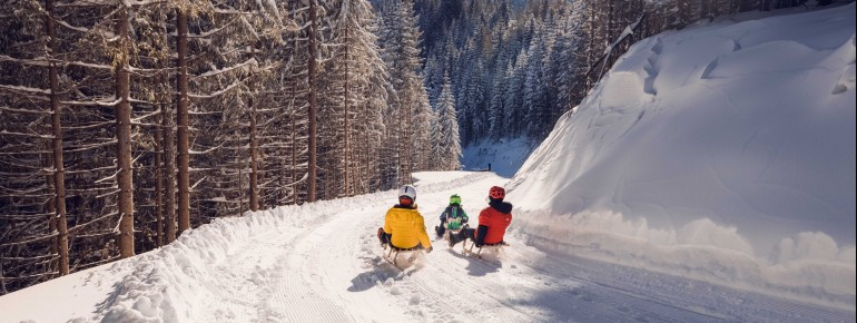 Die neue Rodelbahn in Pertisau: vom Zwölferkopf geht es auf 4,8 km ins Tal hinunter.