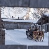 Pferdekutschenfahrt am Achensee