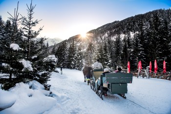 Wie wärs mit einer Pferdekutschenfahrt durch die Winterlandschaft?