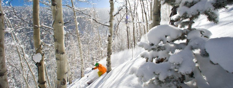 Treeskiing in Beaver Creek.