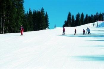 Betreuung durch die örtlichen Skischulen!