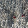 Die Wurmbergseilbahn im Winterwald