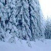 Die verschneite Winterlandschaft in Clausthal-Zellerfeld
