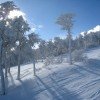 Genieße das Skifahren oder Snowboarden in der verschneiten Winterlandschaft.