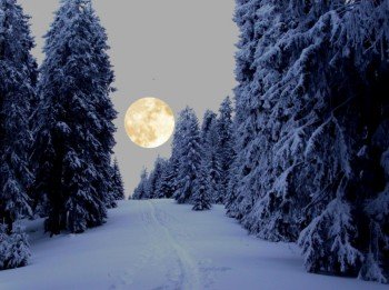 Ein Erlebnis: Vollmond Schneeschuhtouren auf Brambrüesch
