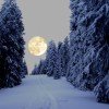 Ein Erlebnis: Vollmond Schneeschuhtouren auf Brambrüesch