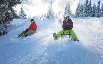 Schlittelspass am Flumserberg