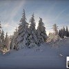 Der Januar ist der schneereichste Monat im Skigebiet Geißkopf