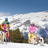Nicht nur auf Skiern lässt sich die Winterlandschaft in Grandvalira entdecken