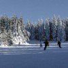 Fünf unterschiedliche Pisten bietet das Skigebiet Hahnenklee Bocksberg in Niedersachsen