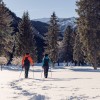 Im Naturpark Karwendel können Winterwanderer in verschneite und wunderschöne Winterlandschaften eintauchen.