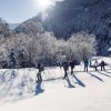 Schneeschuhwandern im Naturpark Karwendel