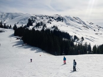 Am Pengelstein finden sich viele einfache Pisten