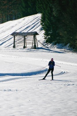 Loipen mit unterschiedlichen Längen und Höhendifferenzen warten darauf mit den Langlaufskiern erobert zu werden.