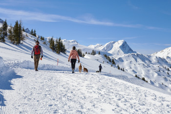 Winterwandern am Betelberg ist ein Genuss. 17km täglich präparierte Wanderwege in der Ruhe der Natur