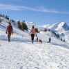 Winterwandern am Betelberg ist ein Genuss. 17km täglich präparierte Wanderwege in der Ruhe der Natur