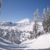 In den Bergen von Washington State lässt es sich wunderbar Ski fahren.