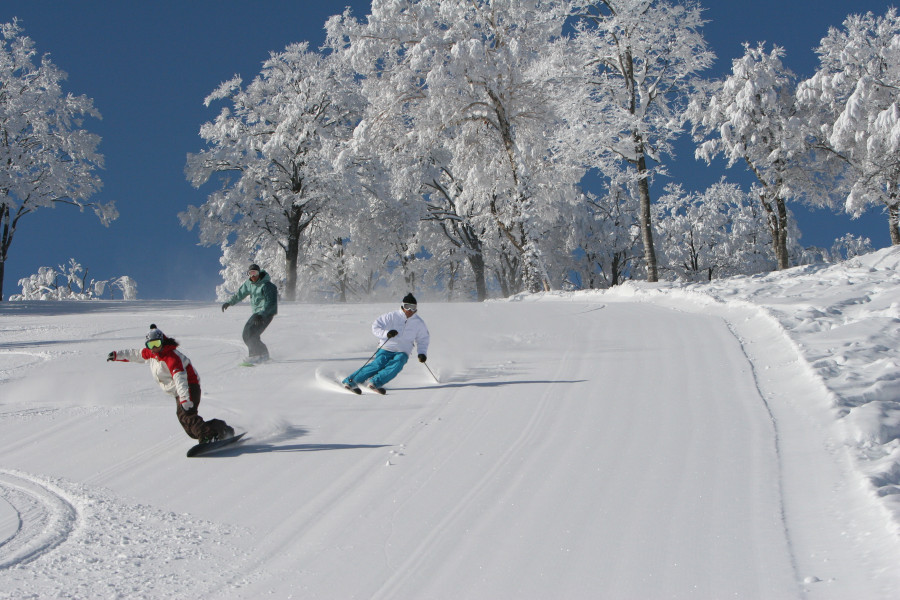Ein wahres Schneeparadies! Eines der schönsten und expansivsten Wintersportgebiete Japans.