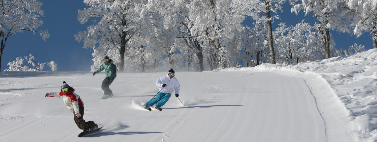Ein wahres Schneeparadies! Eines der schönsten und expansivsten Wintersportgebiete Japans.