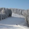 Zum Skifahren steht am Fallbachang eine 800 Meter lange Piste zur Verfügung.