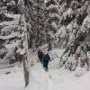 Skitour durch den Wald