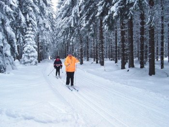 Die Langlaufloipen in Schöneck führen durch verzauberte Winterlandschaften