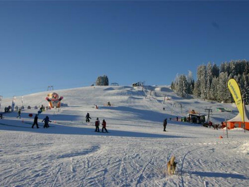 Das Skigebiet wartet mit überwiegend blau markierten Pisten auf