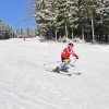 Auch geübte Fahrer kommen am Silbersattel auf ihre Kosten: Das Skigebiet bietet drei schwarz markierte Abfahrten