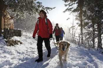 Entdecke den Hochschwarzwald auf einem der beschilderten Winterwanderwege!