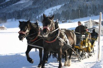 Romantische Pferdekutschfahrten durch St. Martin