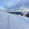 Insgesamt 16 Pistenkilometer warten auf Anfänger und geübte Fahrer im Skigebiet Unterberg in Niederösterreich.