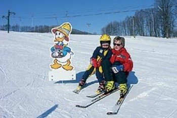 Das Skigebiet ist vor allem für Familien gut geeignet.
