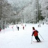 Die Öffnungszeiten des Skigebiets sind abhängig von den Wetterverhältnissen. An verschneiten Tagen wie hier auf dem Foto geht es daher sofort ab auf die Piste!
