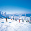 In Zao Onsen stehen zum Skifahren und Snowboarden 50 km Pisten zur Verfügung.